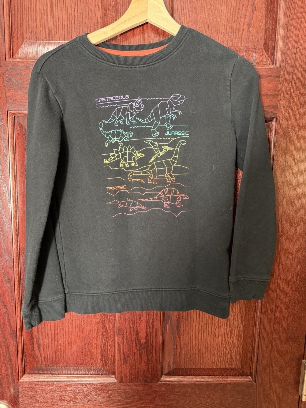 Cat & Jack Boys Dinosaur Sweatshirt Size M 8/10 Black Geometric Graphic EUC